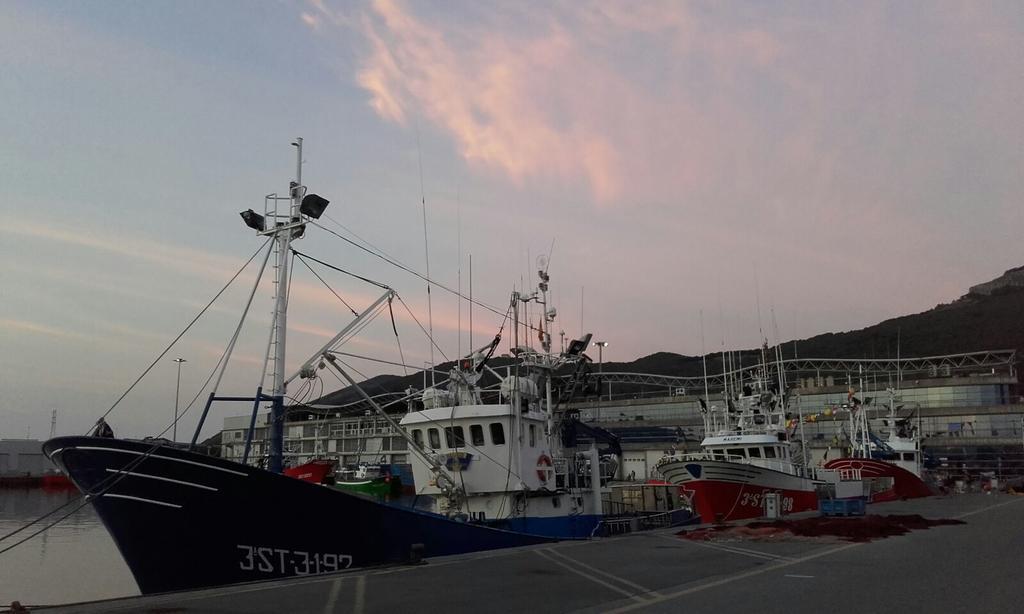 Hospedaje La Tortuga Santoña Εξωτερικό φωτογραφία